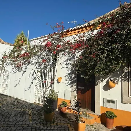 The Olive Tree Holiday home *