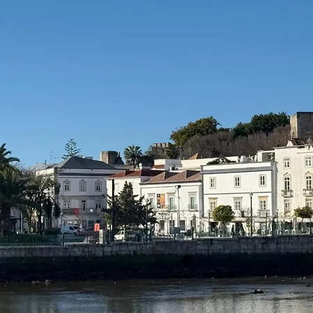 The Olive Tree * Tavira