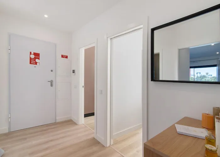 The Olive Tree 塔维拉