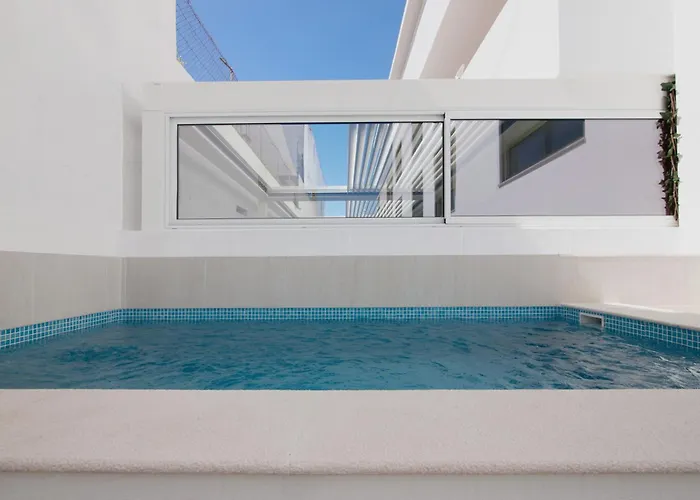 The Olive Tree 塔维拉