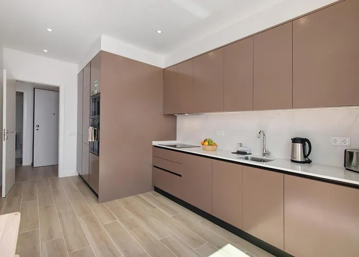 The Olive Tree 塔维拉