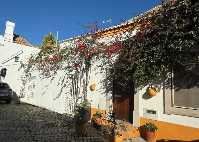 The Olive Tree 度假居 *