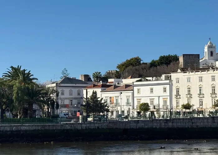 The Olive Tree * Tavira